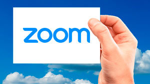 Zoom Logo