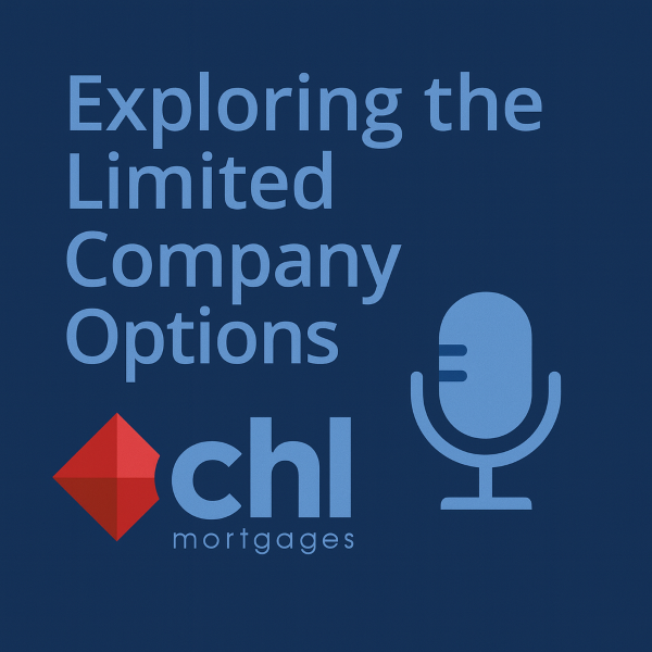Exploring the Limited Company Options