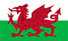 Welsh flag featuring a red dragon centred on a green and white horizontal background.